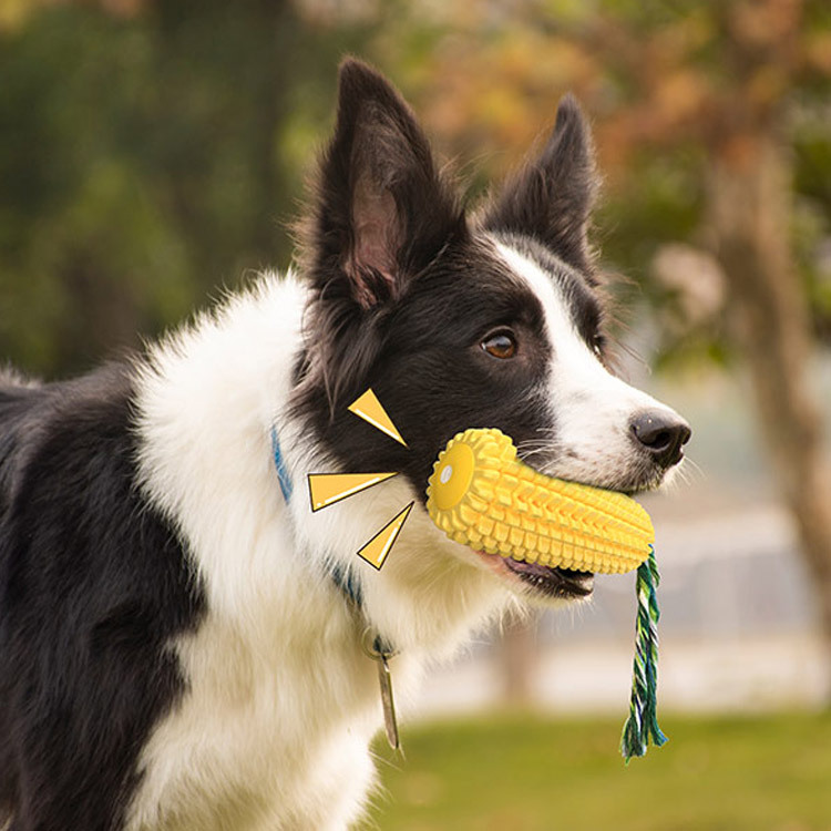 Popular Durable Rubber Corn Do - Corn Dog Stick review and price